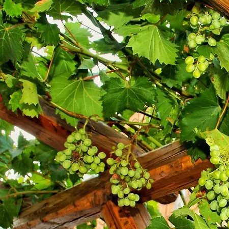 Dimora D'estate 米拉佐